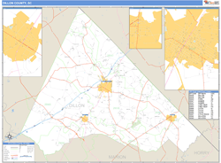 Dillon County, SC Zip Code Wall Map