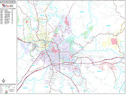 Tuscaloosa Wall Map