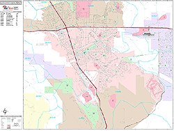 Pleasanton Wall Map