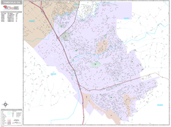 Temecula Wall Map