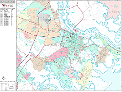 Savannah Wall Map