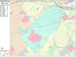 Brookline Wall Map