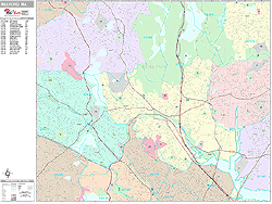 Medford Wall Map