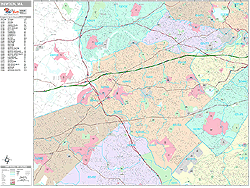 Newton Wall Map