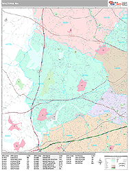 Waltham Wall Map