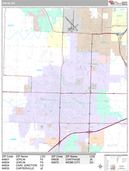 Joplin Wall Map