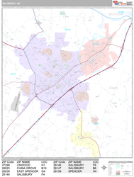 Salisbury Wall Map