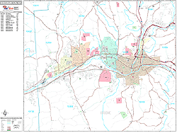 Binghamton Wall Map