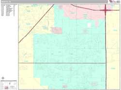 DeSoto Wall Map