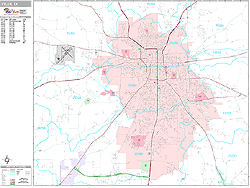 Tyler Wall Map