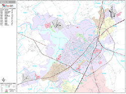 Waco Wall Map