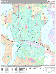 Bellevue Wall Map