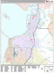 Everett Wall Map