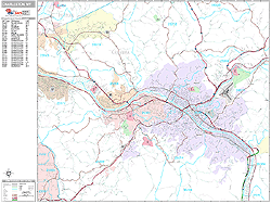 Charleston Wall Map