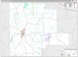 Fayette County, AL Wall Map