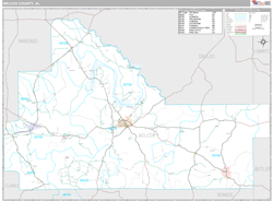 Wilcox County, AL Wall Map