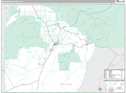 Montezuma County, CO Wall Map
