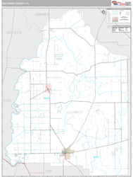 Gilchrist County, FL Wall Map