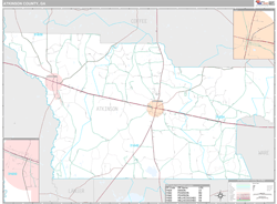 Atkinson County, GA Wall Map
