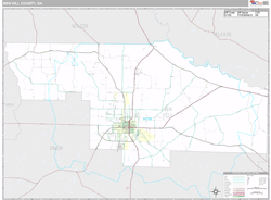 Ben Hill County, GA Wall Map