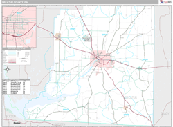 Decatur County, GA Wall Map