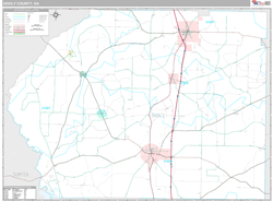 Dooly County, GA Wall Map