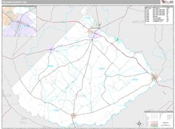 Telfair County, GA Wall Map