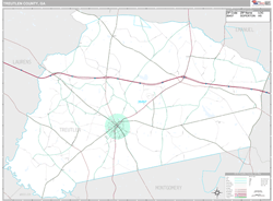 Treutlen County, GA Wall Map