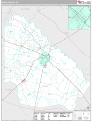 Wayne County, GA Wall Map