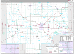 Bureau County, IL Wall Map