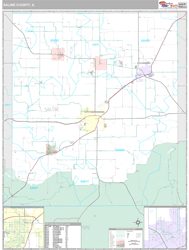 Saline County, IL Wall Map