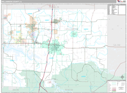 Williamson County, IL Wall Map