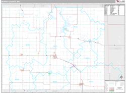 Murray County, MN Wall Map