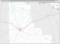 Walthall County, MS Wall Map