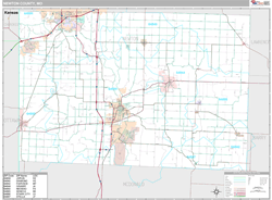 Newton County, MO Wall Map