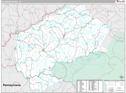 Delaware County, NY Wall Map