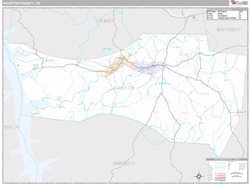 Houston County, TN Wall Map