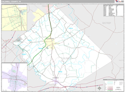 Caldwell County, TX Wall Map