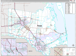 Cameron County, TX Wall Map