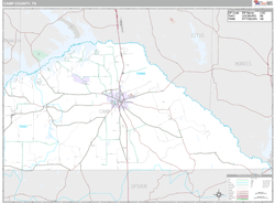 Camp County, TX Wall Map