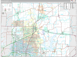 Collin County, TX Wall Map