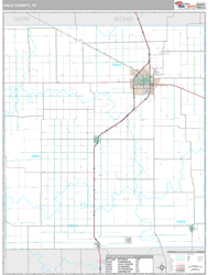 Hale County, TX Wall Map