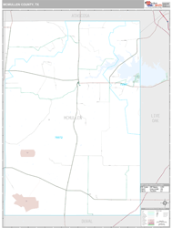 McMullen County, TX Wall Map