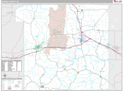 Monroe County, WI Wall Map