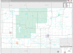 Taylor County, WI Wall Map