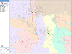 Palmdale Wall Map