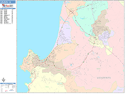 Salinas Wall Map
