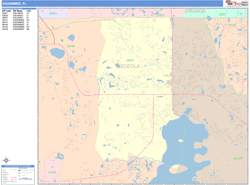 Kissimmee Wall Map