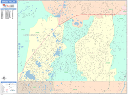 Spring Hill Wall Map