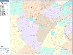 Brookline Wall Map